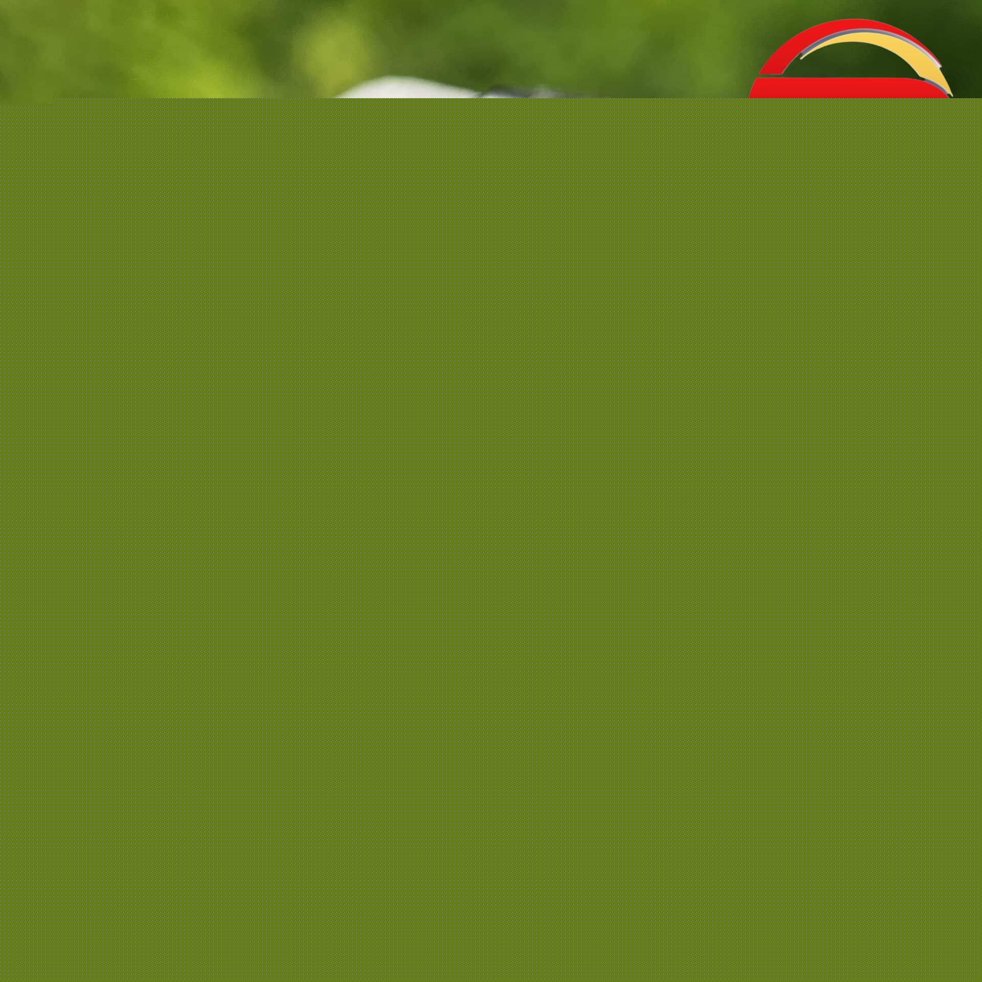 Rolex Datejust Nữ Mặt Số Nâu Niềng Đá - 5