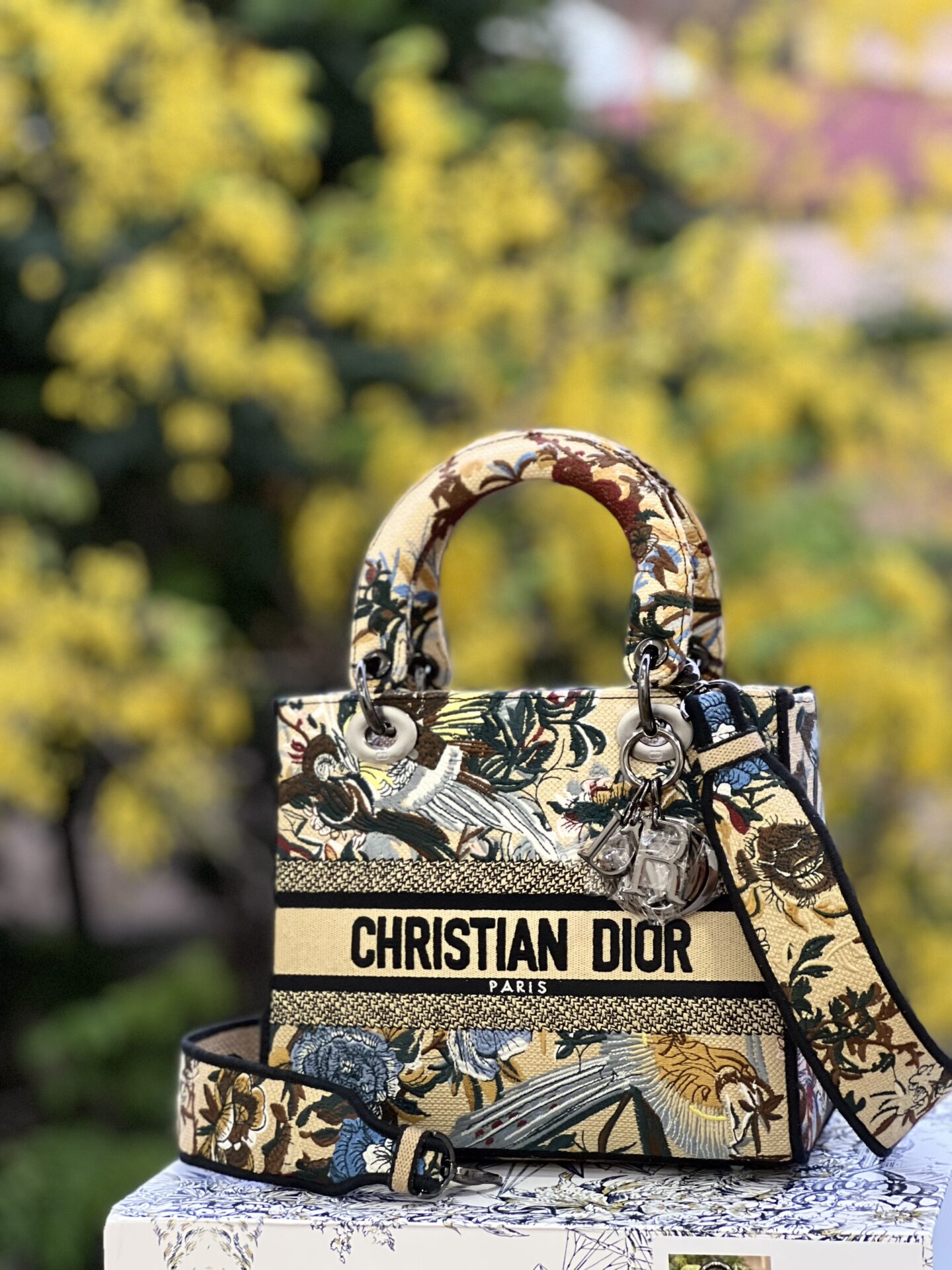 z4411920617636_b50476670f7ec0f2ebf66b3f7dccd324 TÚI LADY DIOR MEDIUM SIZE D-LITE BAG BEIGE MULTICOLOR DIOR JARDIN D'HIVER