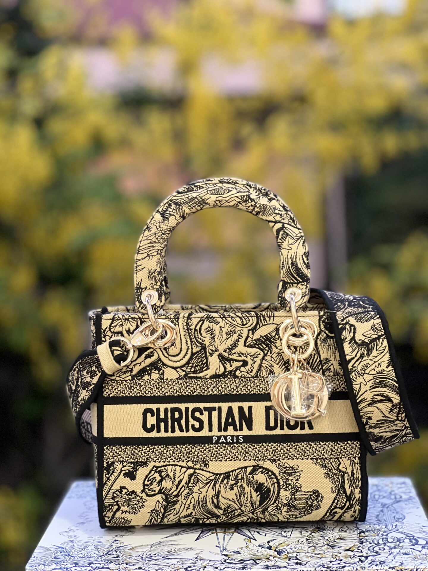 z4411924168689_a8aa021c6d3d3ccff3c7b1f60f647ab9 TÚI LADY DIOR NGUYÊN BẢN MEDIUM SIZE D-LITE BAG BROWN TOILE DE JOUY EMBROIDERY