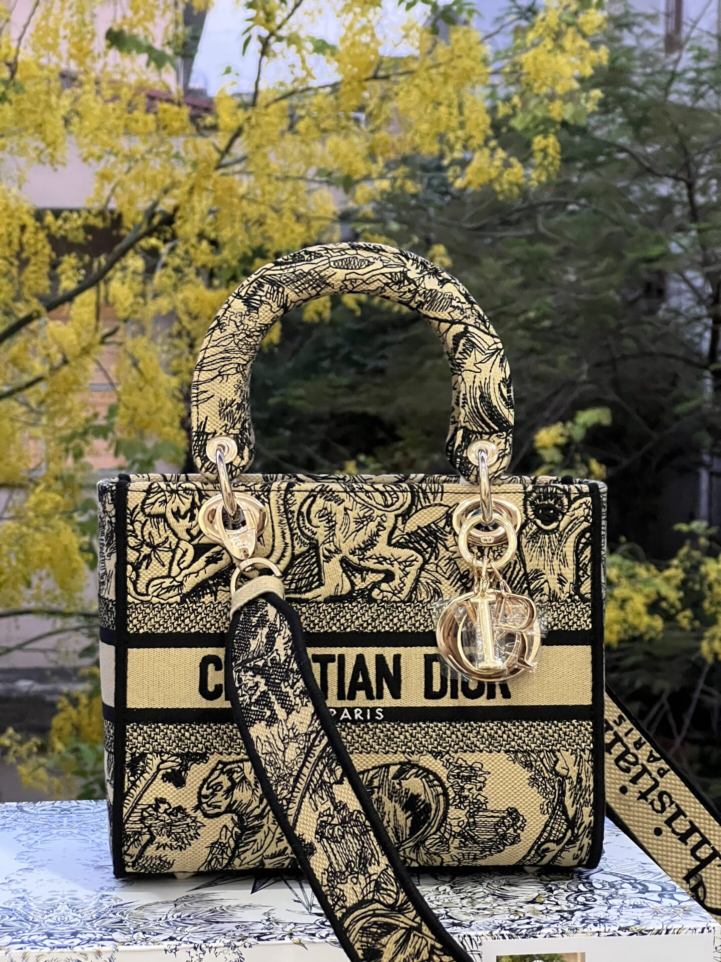 z4411924213095_01da1dd84dc459b28f53020aafe4bf05 TÚI LADY DIOR NGUYÊN BẢN MEDIUM SIZE D-LITE BAG BROWN TOILE DE JOUY EMBROIDERY