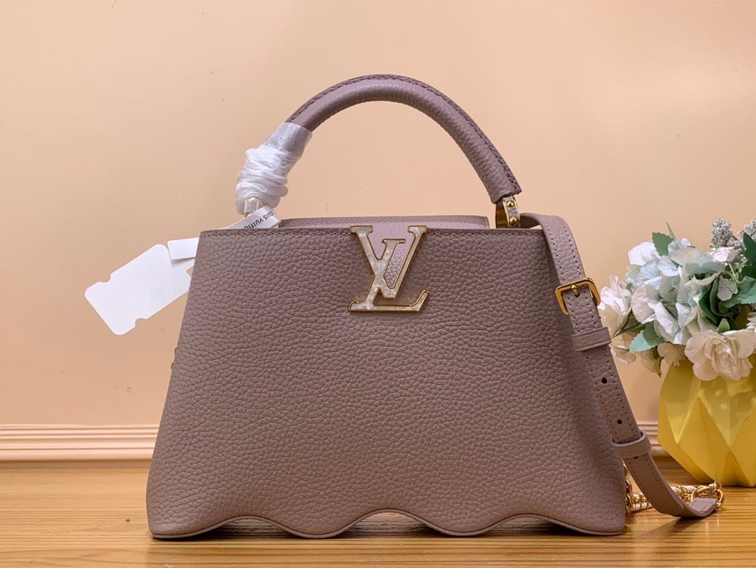 z4579477473915_ad1210924a6d2d57608fd690fb21f69e TÚI LV LOUIS VUITTON CAPUCINES CAPUSHELL BB SIÊU CẤP MÀU GHI ĐẬM
